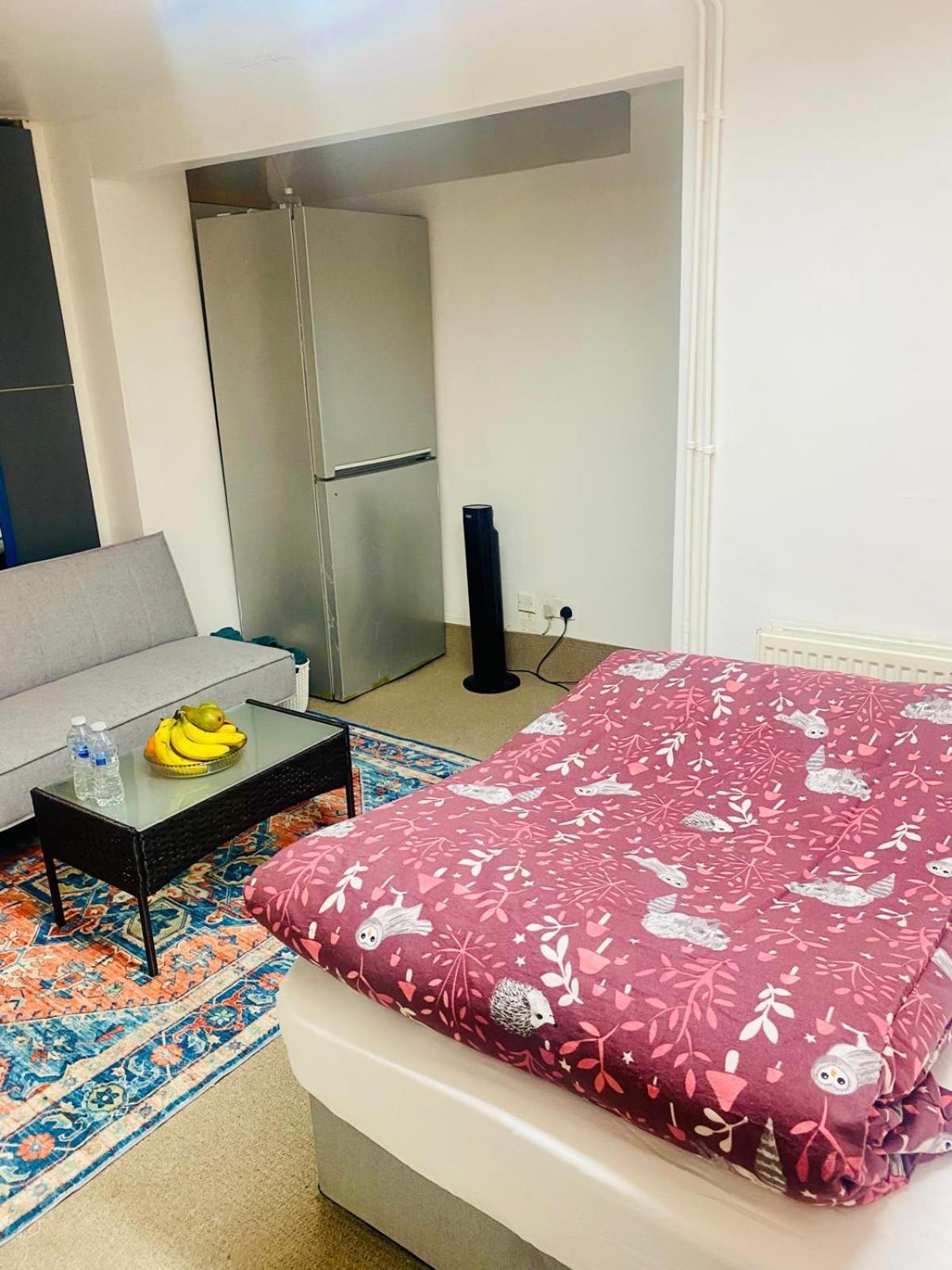 Cozy Studio Opposite Chelsea Stadium London Exterior foto